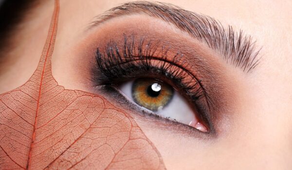 resultados depilación cejas- cejas depilación-diodo-electrica-sin pelos-siempre arreglada-aramaca blog-diseño cejas